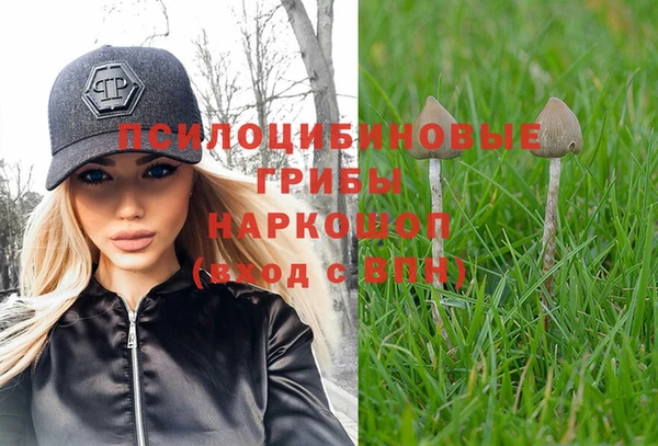 тгк Армянск