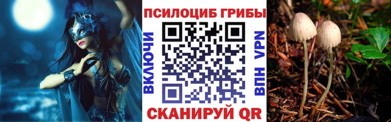 Псилоцибиновые грибы Cubensis Сретенск